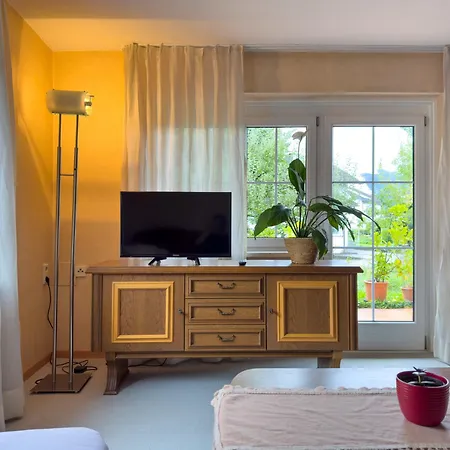 4-zimmer-wohnung Mit Terrasse 公寓 兰克韦尔
